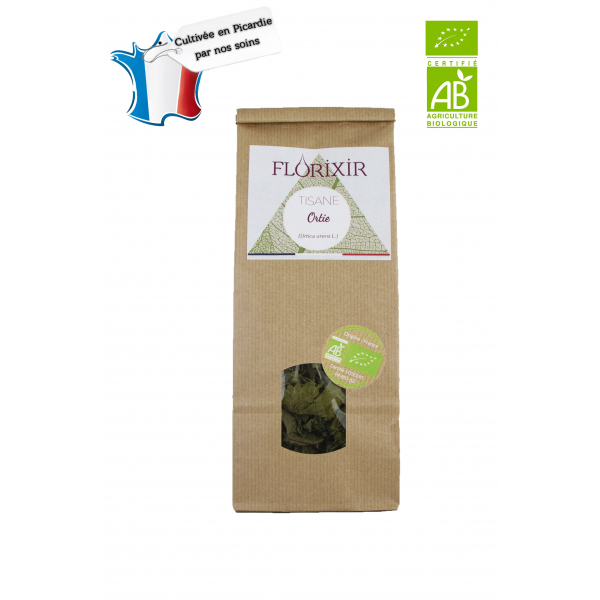Tisane Ortie